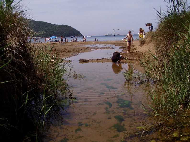 I fossi e lo stagno di Baratti (Piombino - LI)